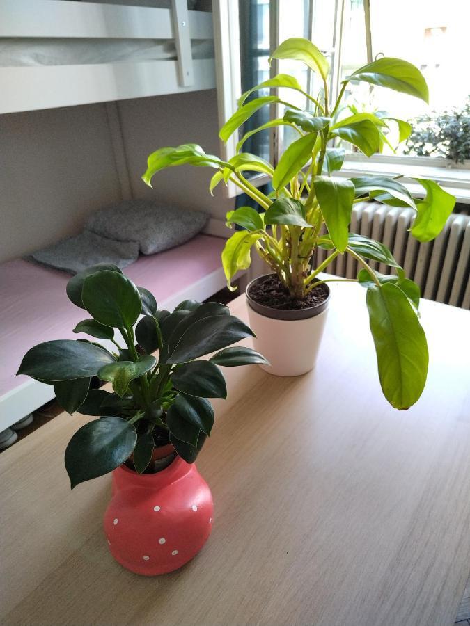 Monica'S House Hostel เบลเกรด ภายนอก รูปภาพ