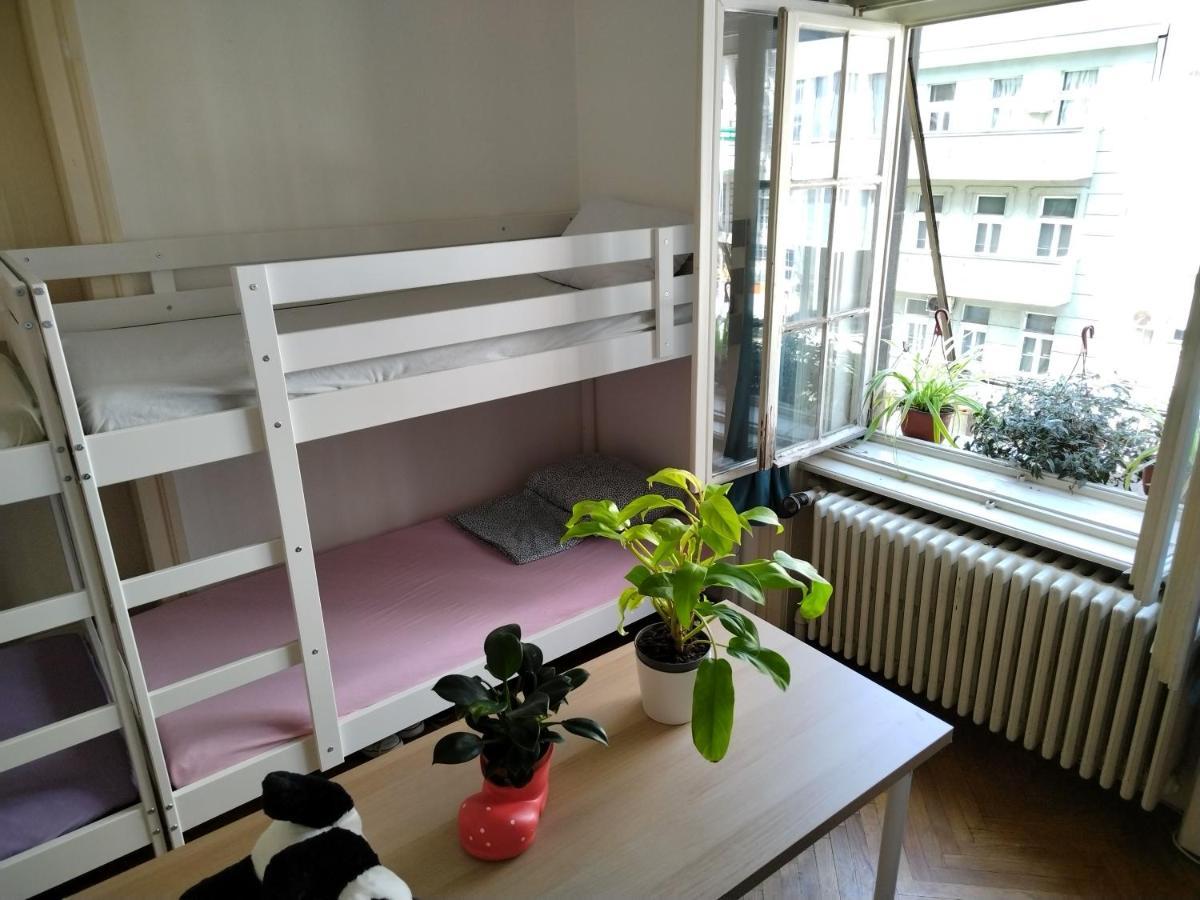 Monica'S House Hostel เบลเกรด ภายนอก รูปภาพ